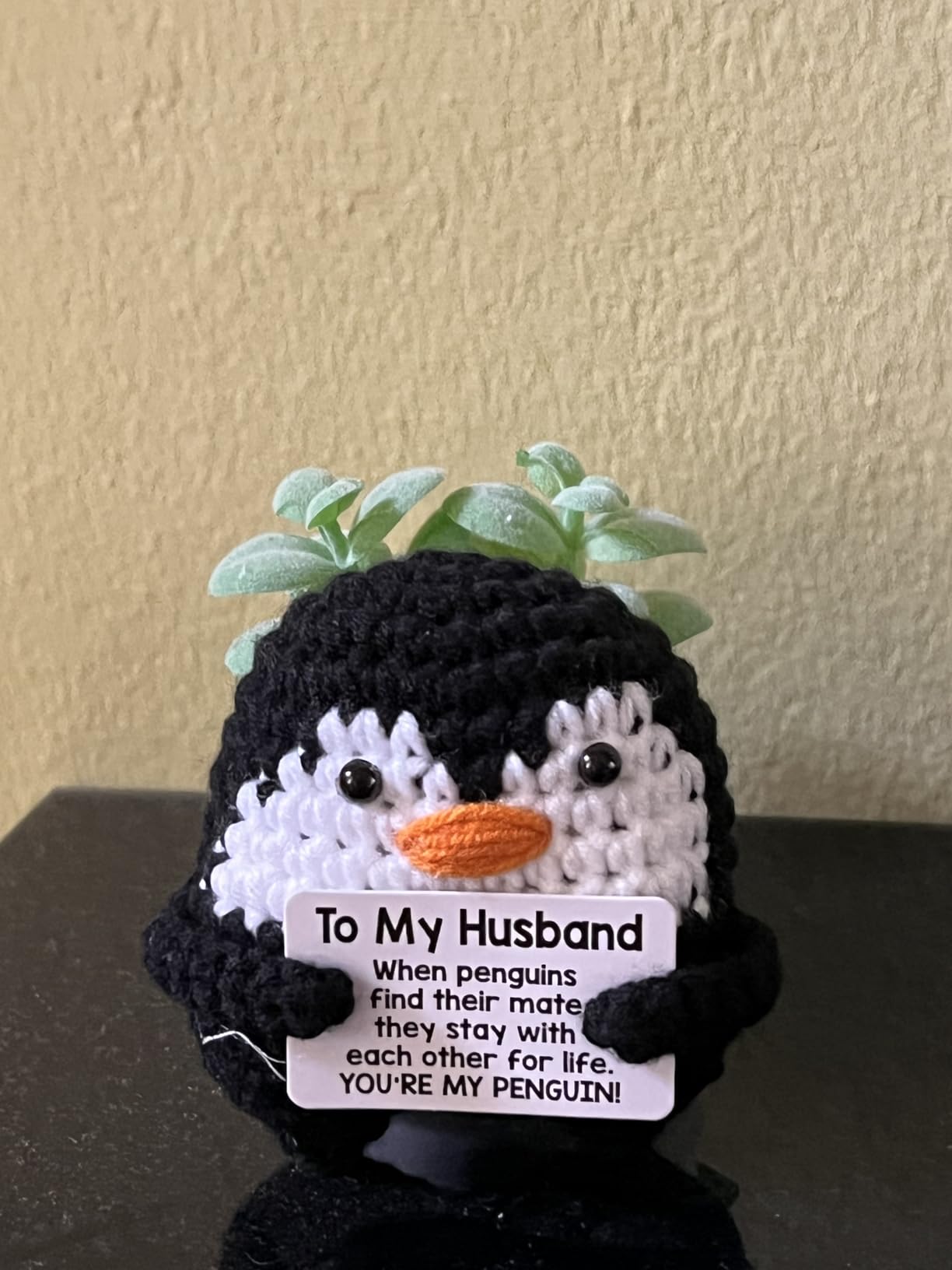 Valentines Day Gifts for Him Her, To My Love Handmade Crochet Mini Penguin Anniversary Birthday Gift for Boyfriend Girlfriend Wife Husband, Romantic I Love You Valentines Gifts for Women Men Couple Customer Review Valentines Day Gifts for Him Her, To My Love Handmade Crochet Mini Penguin Anniversary Birthday Gift for Boyfriend Girlfriend Wife Husband, Romantic I Love You Valentines Gifts for Women Men Couple - Customer Photo 1