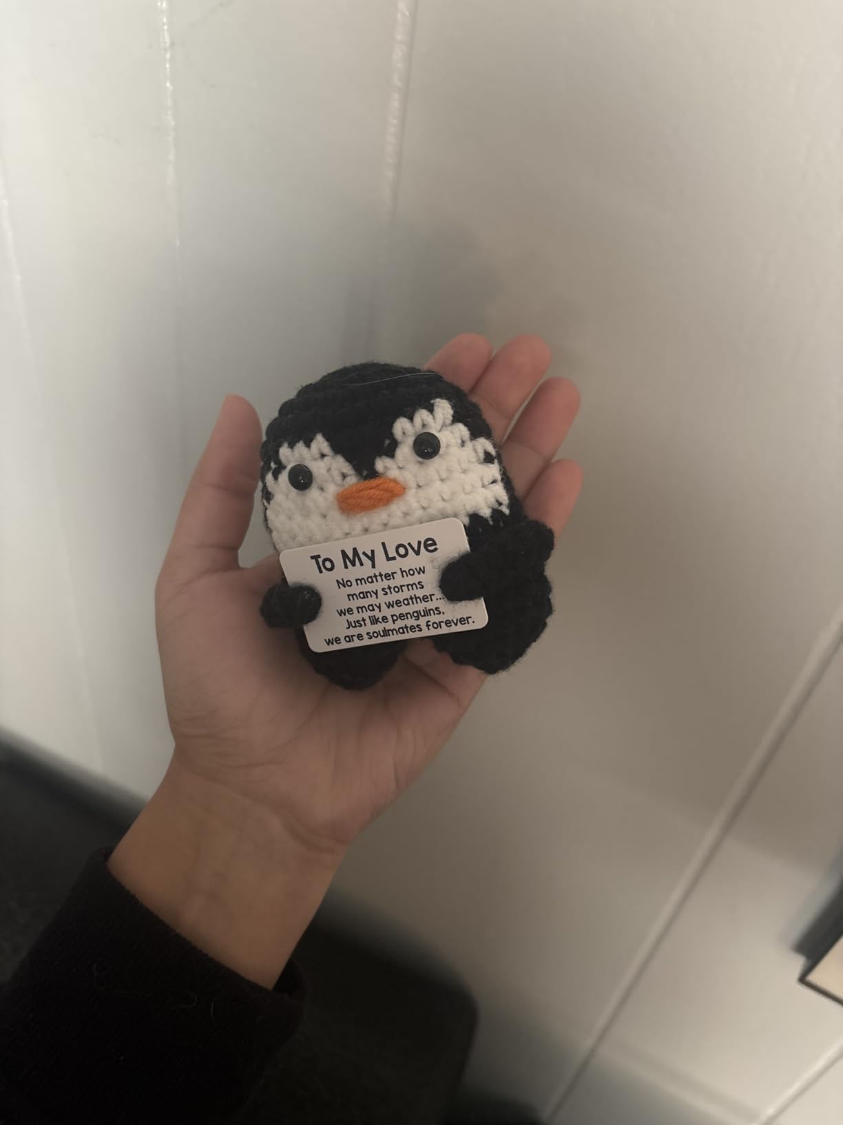 Valentines Day Gifts for Him Her, To My Love Handmade Crochet Mini Penguin Anniversary Birthday Gift for Boyfriend Girlfriend Wife Husband, Romantic I Love You Valentines Gifts for Women Men Couple - Customer Photo 3
