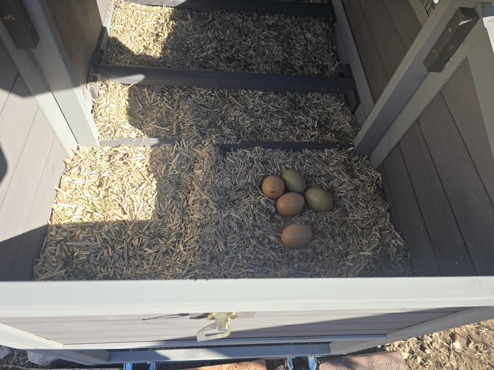 Chicken Coop for Outdoor - Poultry Cage with Wheels, Nesting Box, Leakproof Pull-on Tray, and Asphalt Waterproof Roof customer photo 2