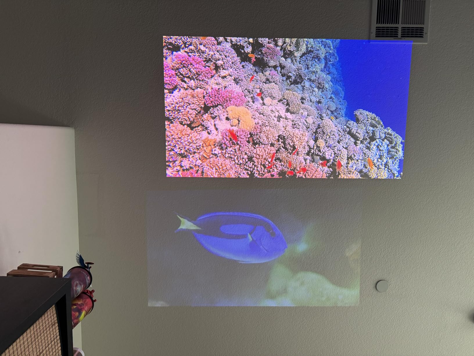 NEBULA X1 Triple Laser 4K Projector customer photo 1