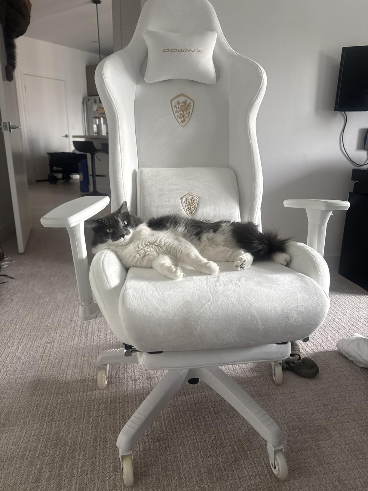 Dowinx Big and Tall Gaming Chair with Suede Fabric Breathable, Game Chairs for Adults with Oversized Thick Seat for 440lbs, Ergonomic Gamer Chair for Streaming & Long Gaming Sessions, Deep Grey customer photo 2