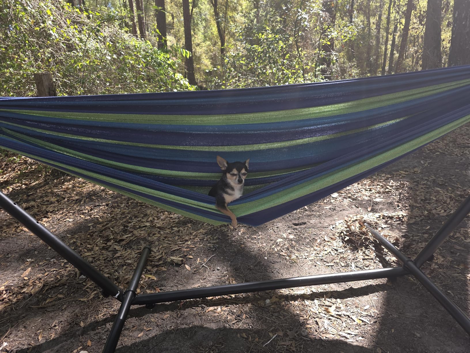 Elevon Hammock Stand, Heavy Duty Adjustable Steel Hammock, 9-Foot, 450-Pound Capacity, Weather Resistant and Easy to Assemble customer photo 2