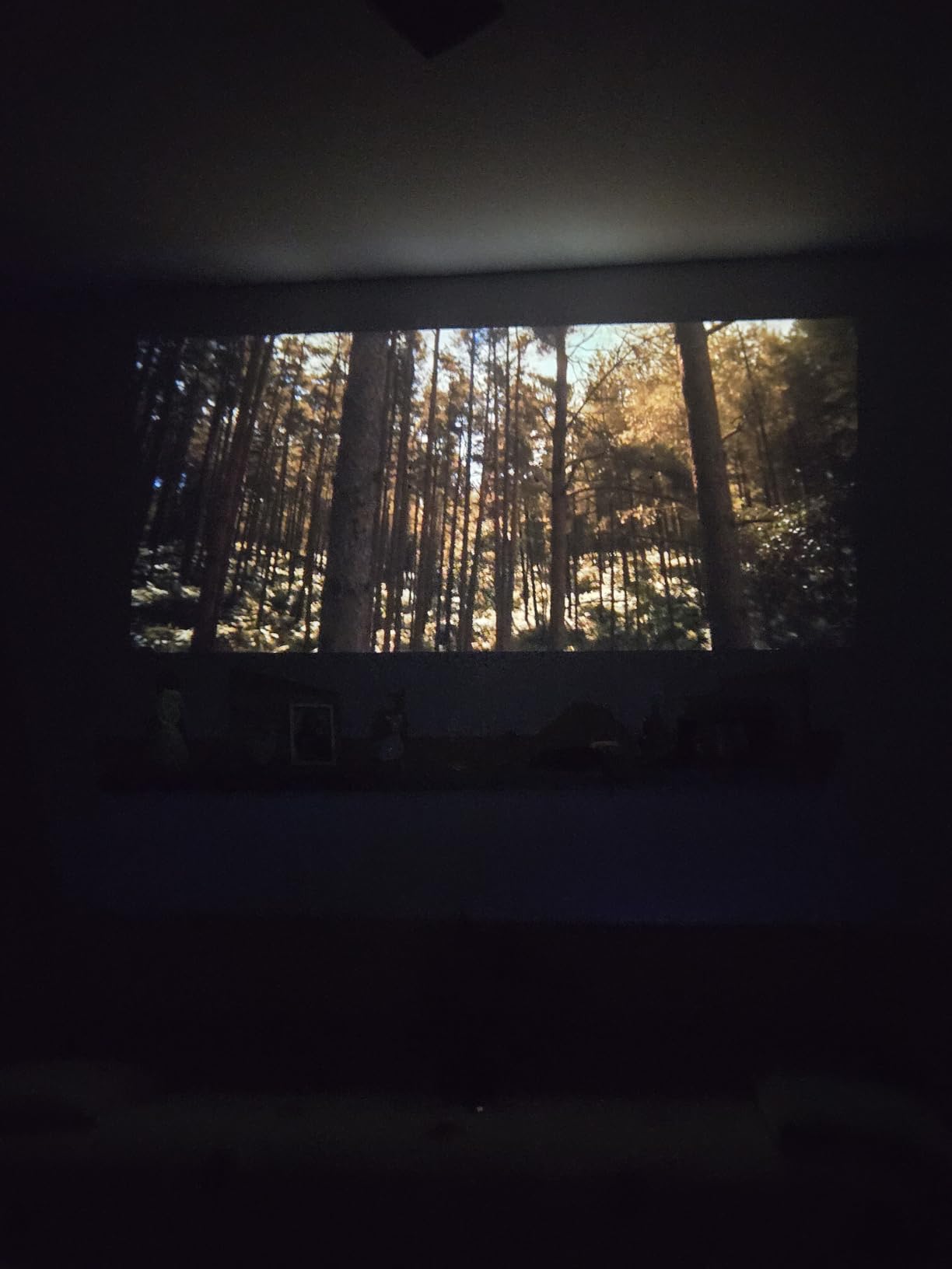 [2500 ANSI/ Official Apps/50W Audio] Outdoor 4K Projector with WiFi and Bluetooth, Auto Focus, Auto Keystone Smart Projector Support DoIby Audio, 2026 Upgrade GO2 Short Throw Projector with 360°Stand customer photo 2