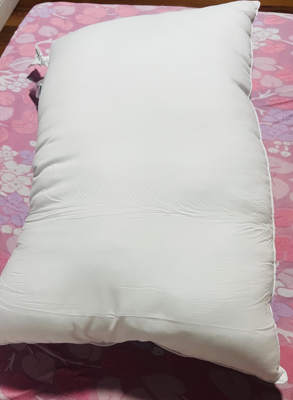 Luxury Canadian White Goose Down Pillows Set of 2, Soft 1500+ Fill Power with 100% Cotton Shell Down Pillow, 40% Goose Down and 60% Goose Feathers for Hotel Bed Pillow, Queen Size(20