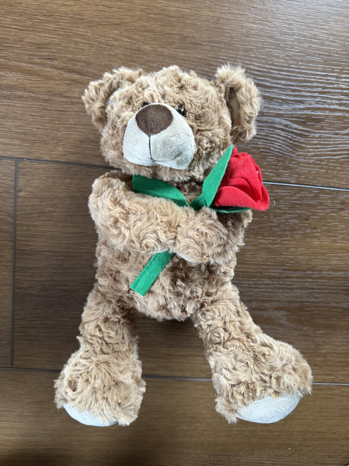 Valentine Teddy Bear 12 Valentine Teddy Bear 12