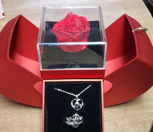 Valentine's Day Gifts for Her, Preserved Rose Necklace Set with Light Up Box & 100 Languages I Love You Necklace, Romantic Flowers Gifts for Wife Girlfriend Customer Review Valentine's Day Gifts for Her, Preserved Rose Necklace Set with Light Up Box & 100 Languages I Love You Necklace, Romantic Flowers Gifts for Wife Girlfriend - Customer Photo 1