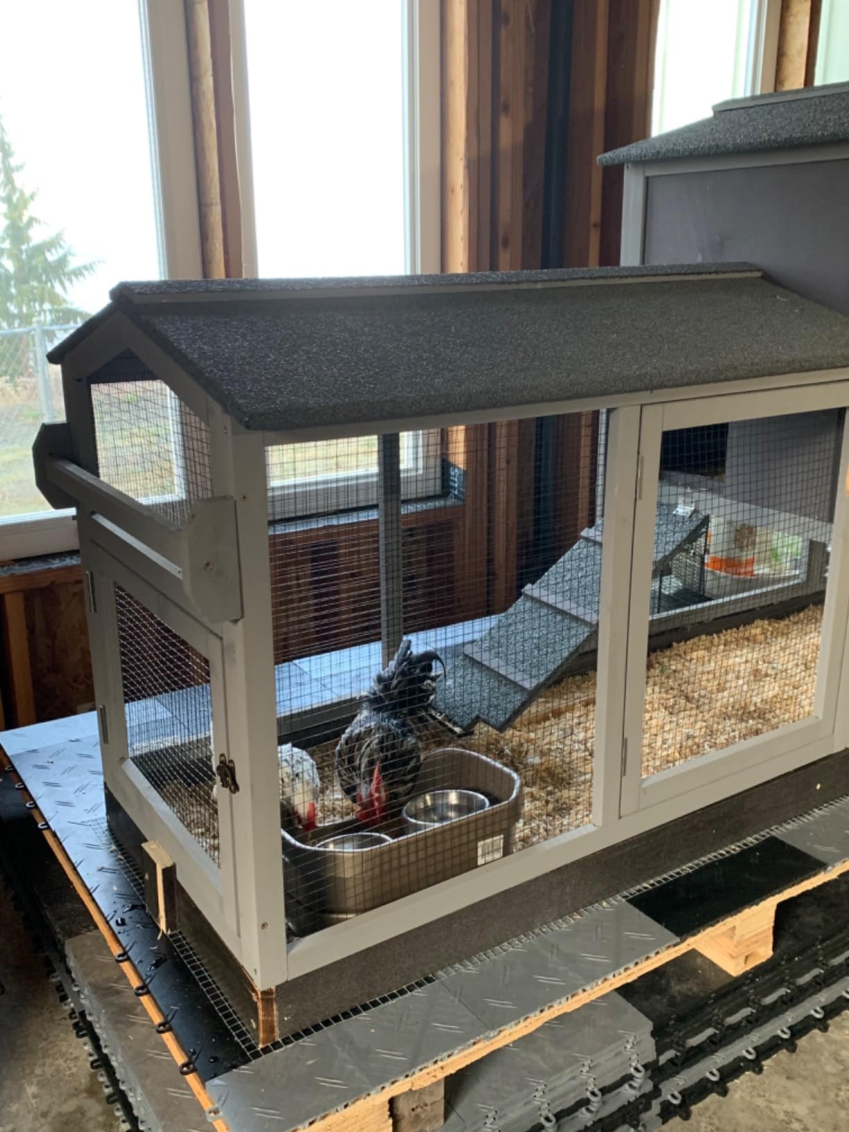 Aivituvin Extra Large Chicken Coop for 8-10 Chickens, Reinforced Structure Outdoor Wooden Hen House with 6 Nesting Boxes, Extended Run, Waterproof Roof, Iron Edge, Black, 118' L x 26' W x 50' H customer photo 1