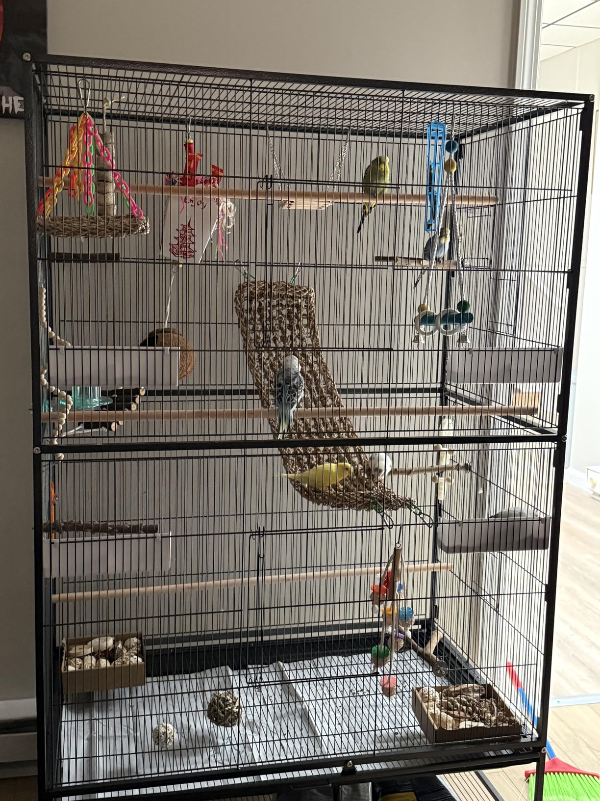 Prevue Hendryx Pet Products Wrought Iron Flight Cage - Big Rolling Bird Cage for Parakeets, Cockatiels, Conures, Lovebirds, Canaries, Finches, Parrotlets, & Caiques, 5 Ft - X-Large, Hammertone Black customer photo 1