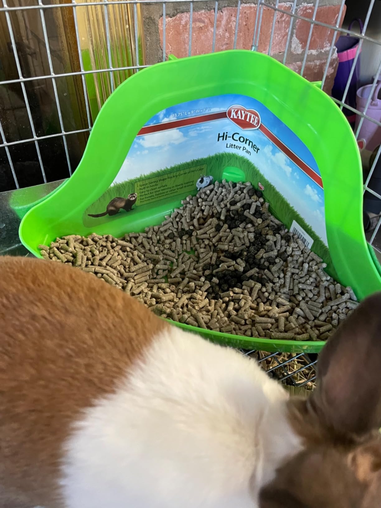 Kaytee Hi-Corner Litter Pan (Assorted Colors) customer photo 2