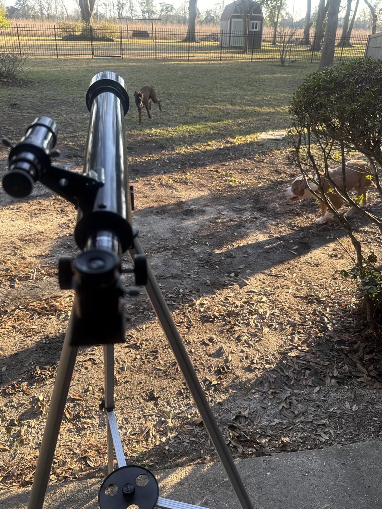 Celestron PowerSeeker 60AZ Telescope - Manual Alt-Azimuth Telescope for Beginners - Compact and Portable - Bonus Astronomy Software Package - 60mm Aperture customer photo 1