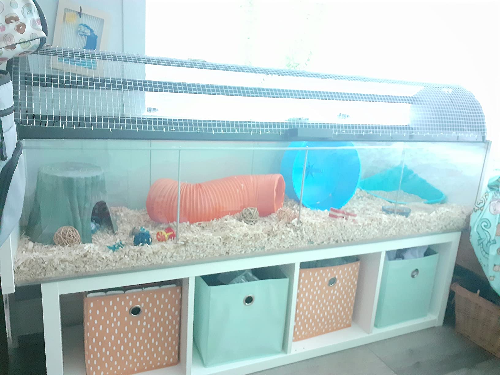 Lixit Corner Litter Pan for Ferrets, Rabbits, Rats, Guinea Pigs and Other Small Animals. (Blue Pack of 1) customer photo 2