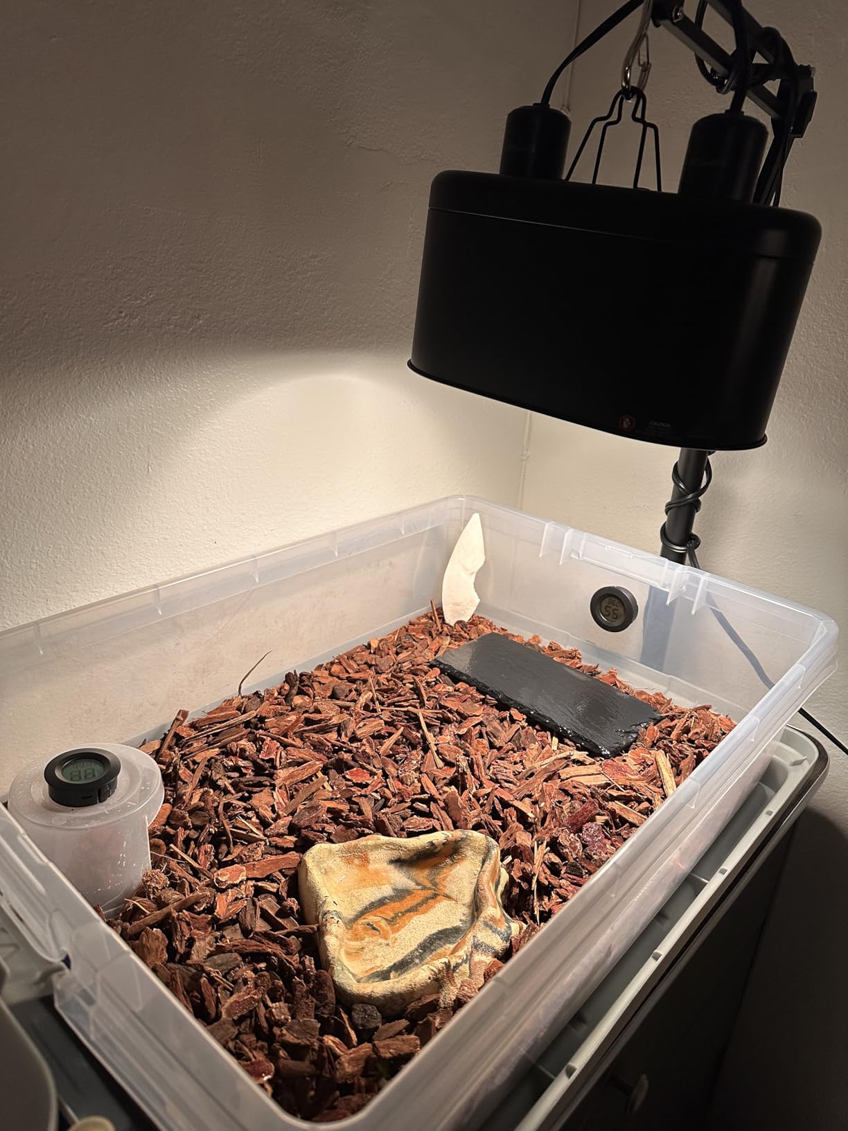 Fluker's Basking Spotlight Bulbs for Reptiles customer photo 1