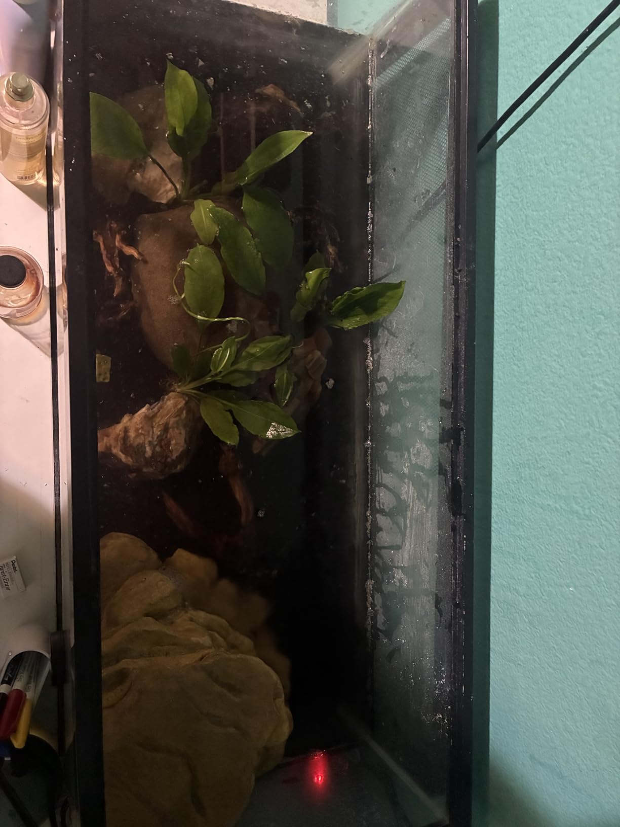 Tetra Decorative ReptoFilter, Terrarium Filtration & Waterfall, For Turtles, Frogs, & Newts. Keeps Water Clear customer photo 2