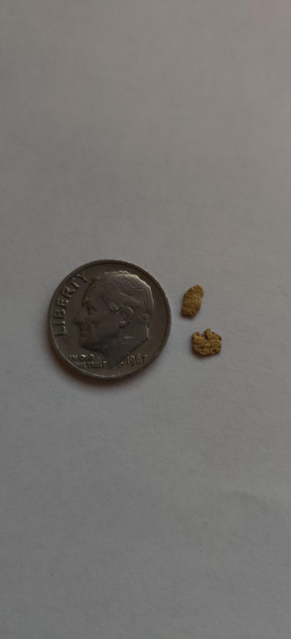 Gold Bug-2 Metal Detector with 6 1/2