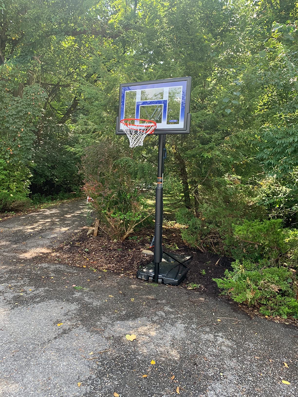 Lifetime 51550 Courtside Portable Basketball Hoop, 48-Inch Backboard customer photo 2
