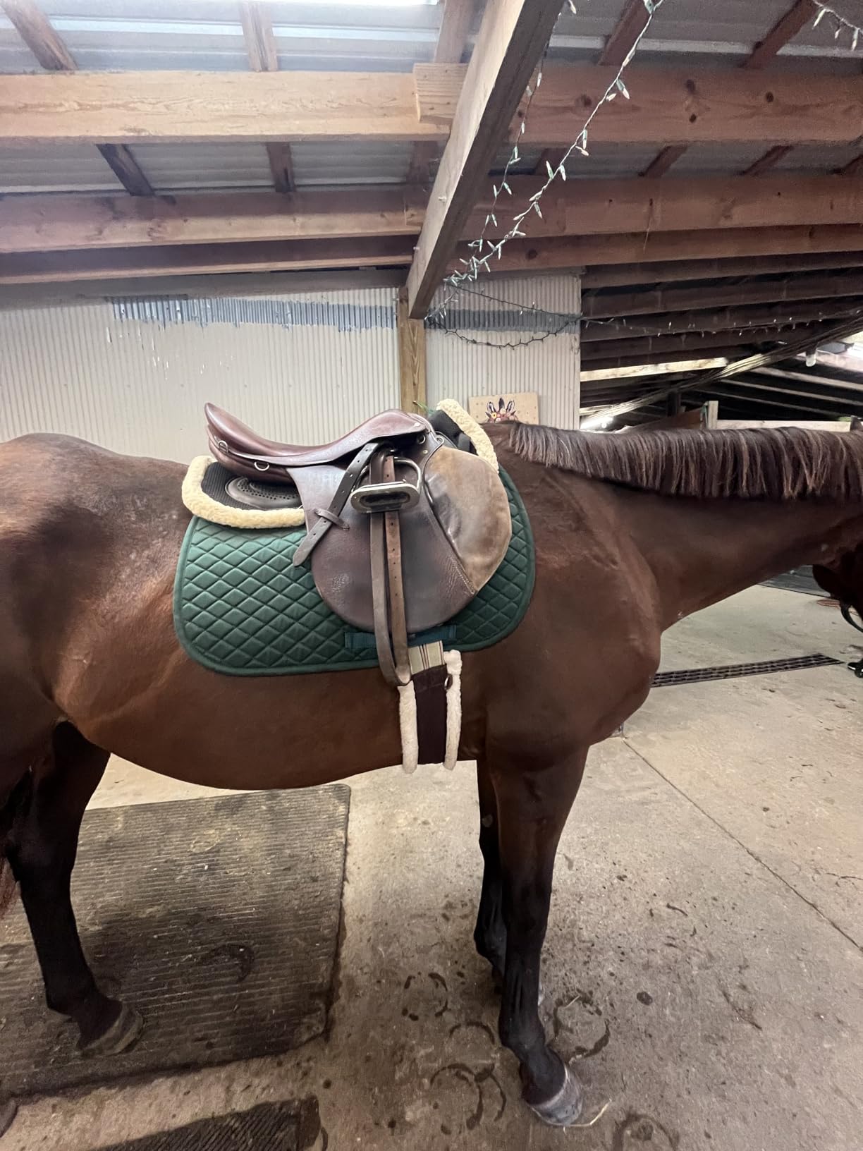 TuffRider Basic Saddle Pad - Diamond Quilted, Flannel Lined, Breathable Schooling Pad for Horses customer photo 1