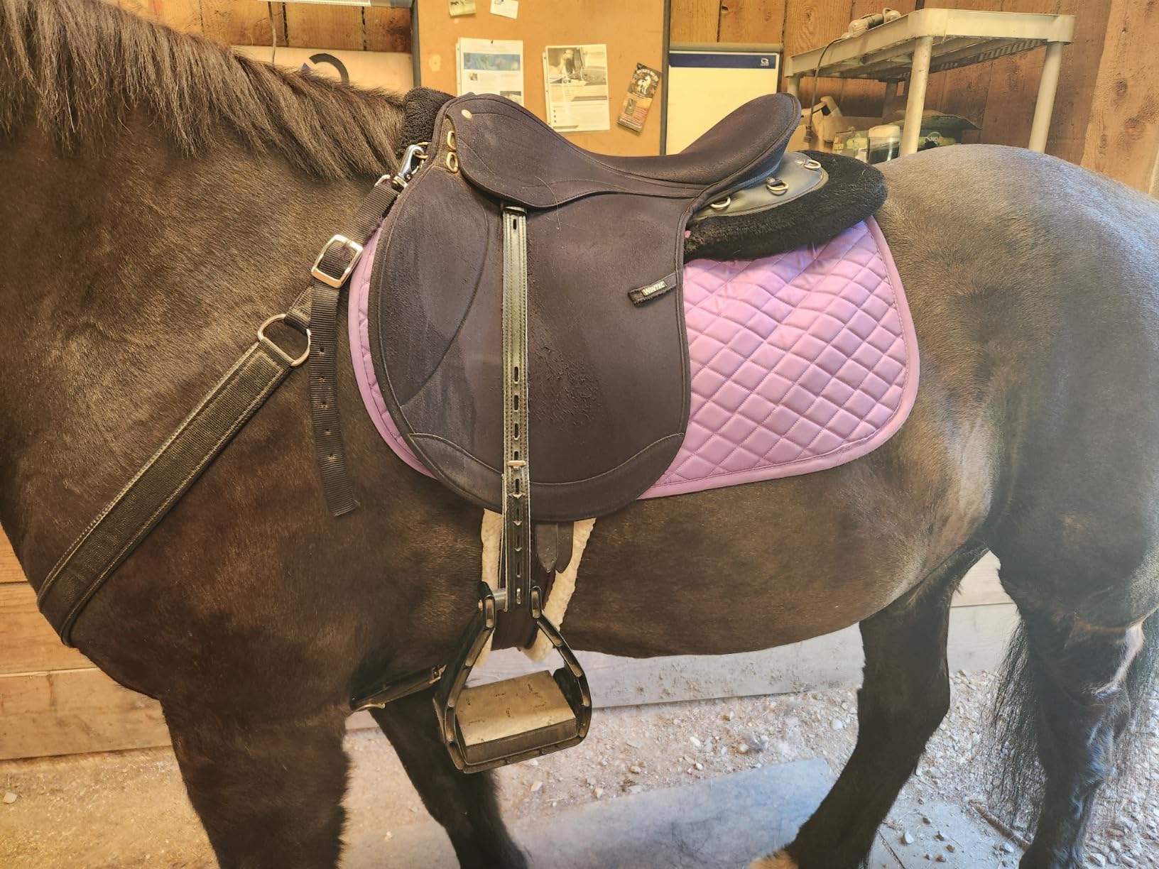 TuffRider Basic Saddle Pad - Diamond Quilted, Flannel Lined, Breathable Schooling Pad for Horses customer photo 2