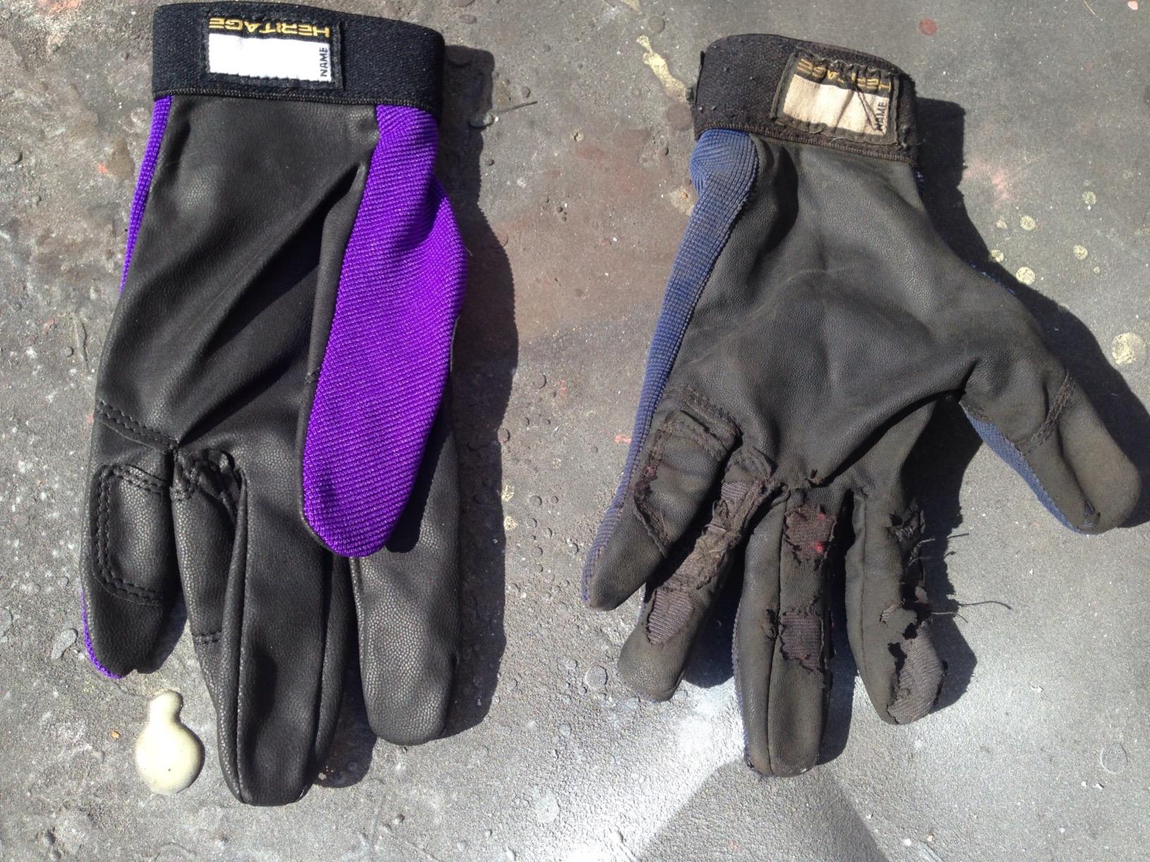 Heritage Performance Gloves - Horse Riding Gloves customer photo 1