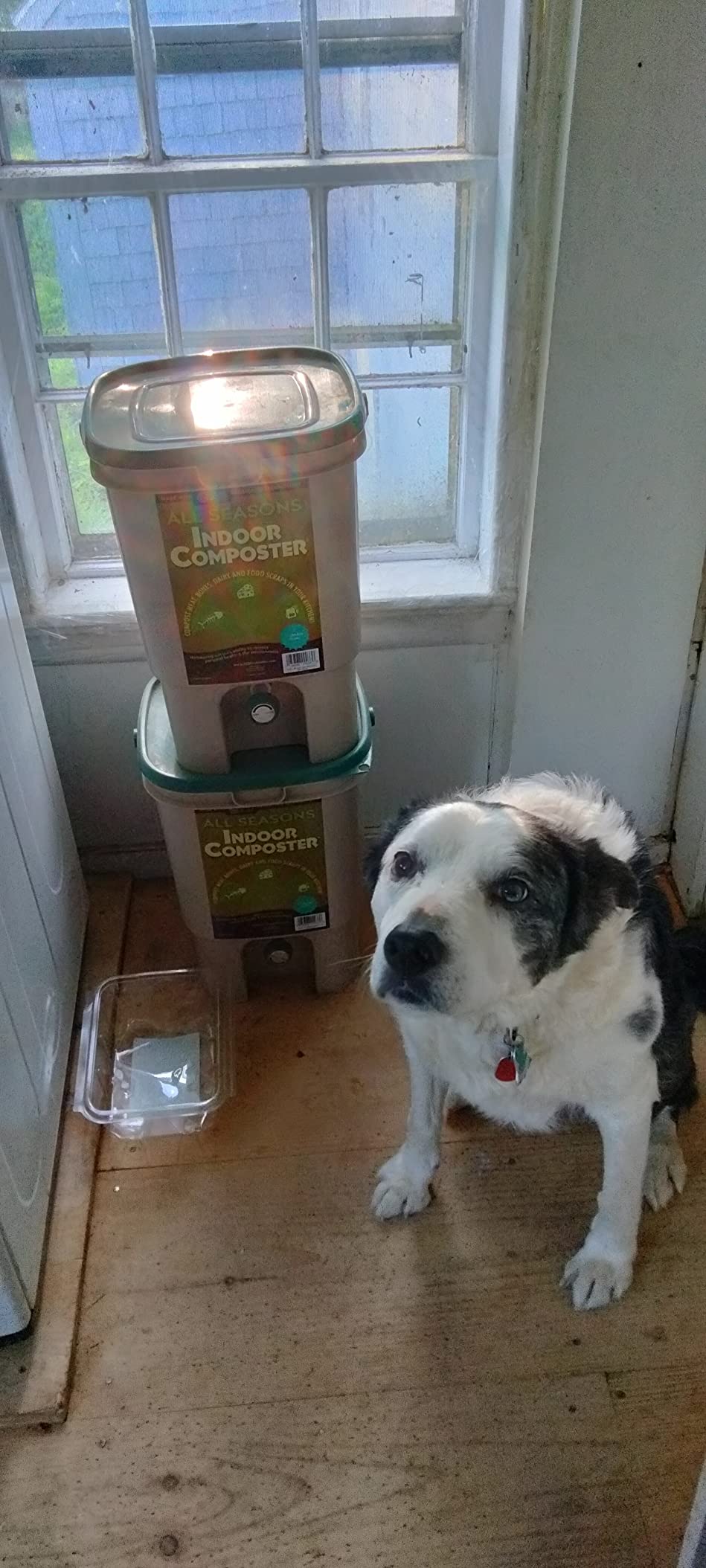 All Seasons Indoor Composter Starter Kit - 5 Gallon Tan Compost Bin For Kitchen Countertop With Lid, Spigot & 1 Gallon (2 lbs.) Bag Of Dry Bokashi Bran - by SCD Probiotics customer photo 1