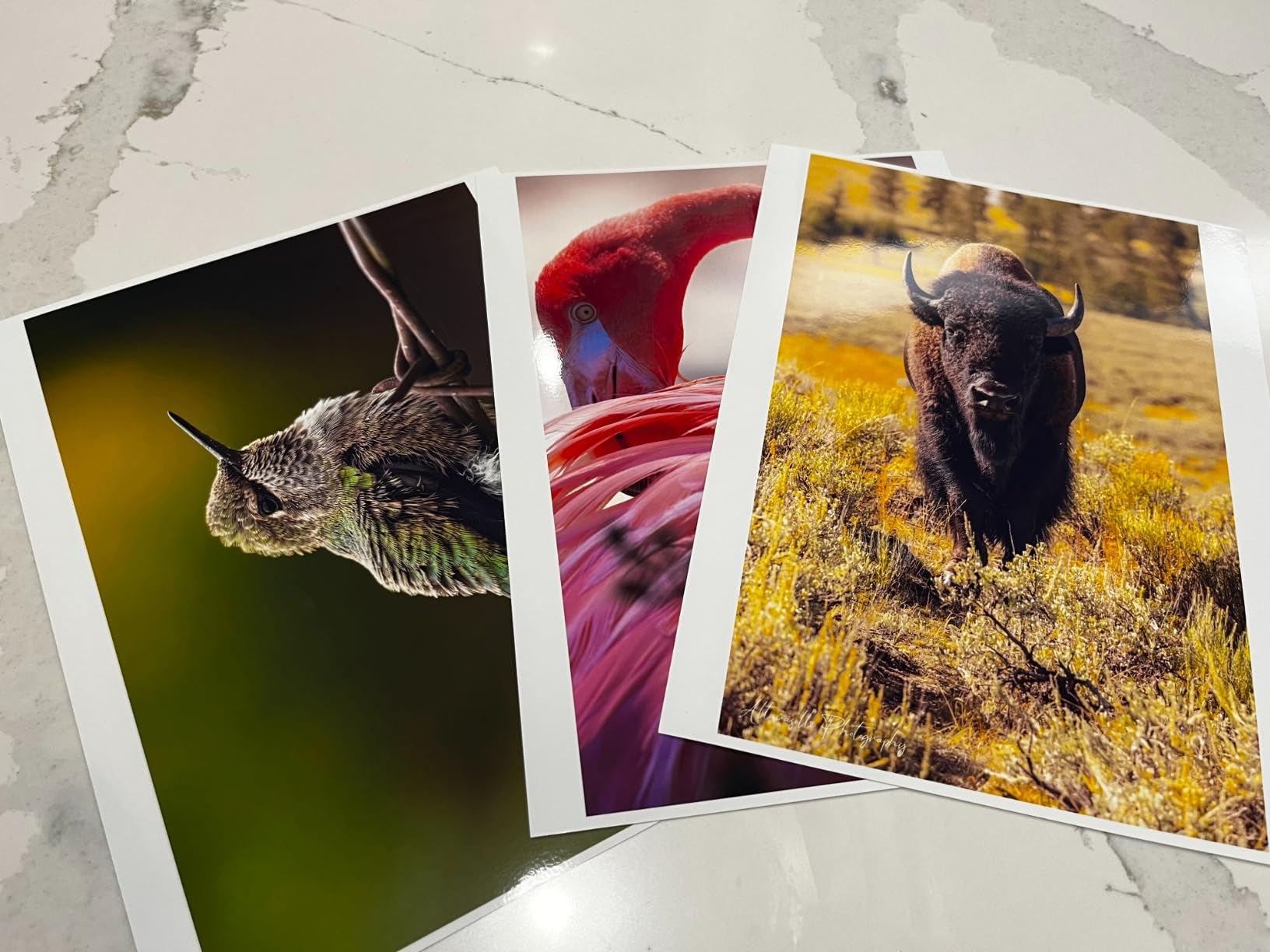HP Premium Plus Photo Paper - Designed for HP Inkjet Printers, Glossy, 8.5x11 in, 50 sheets - (Pack of 1), (CR664A) White customer photo 1