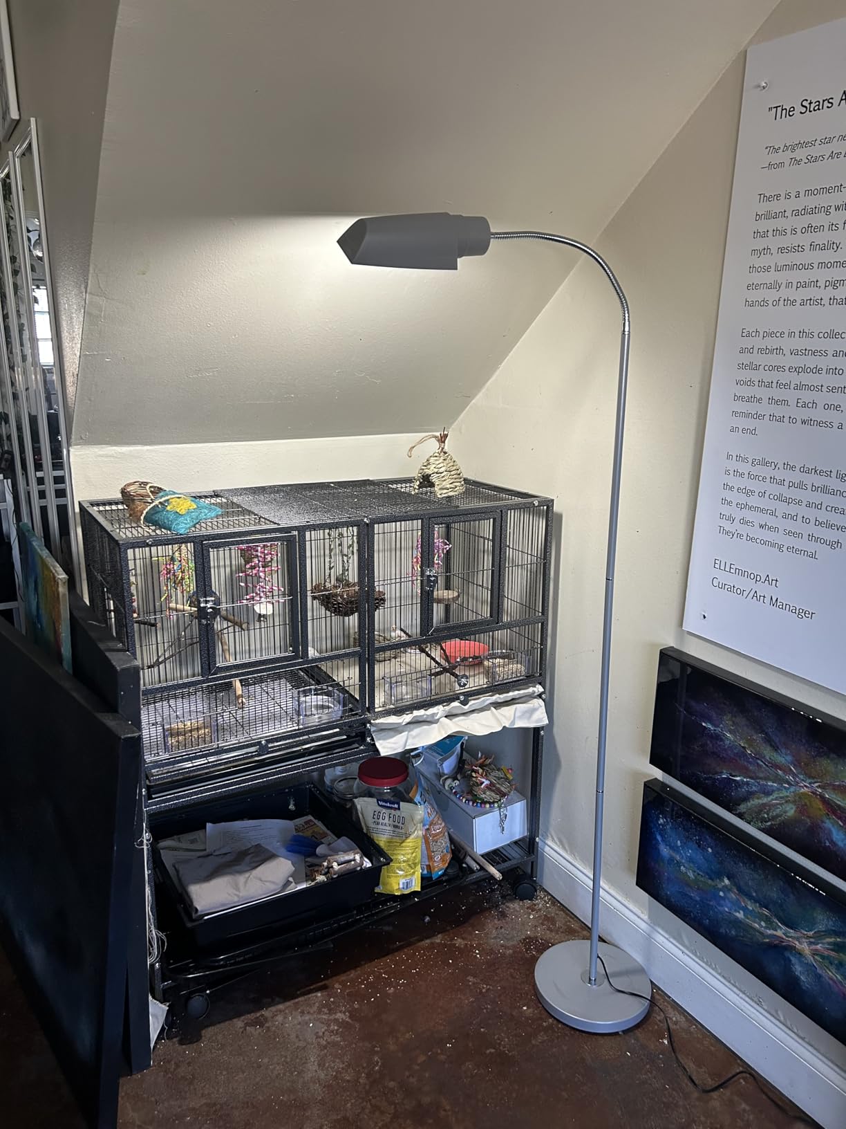 Zoo Med AvianSun Deluxe Floor Pet Lamp customer photo 1