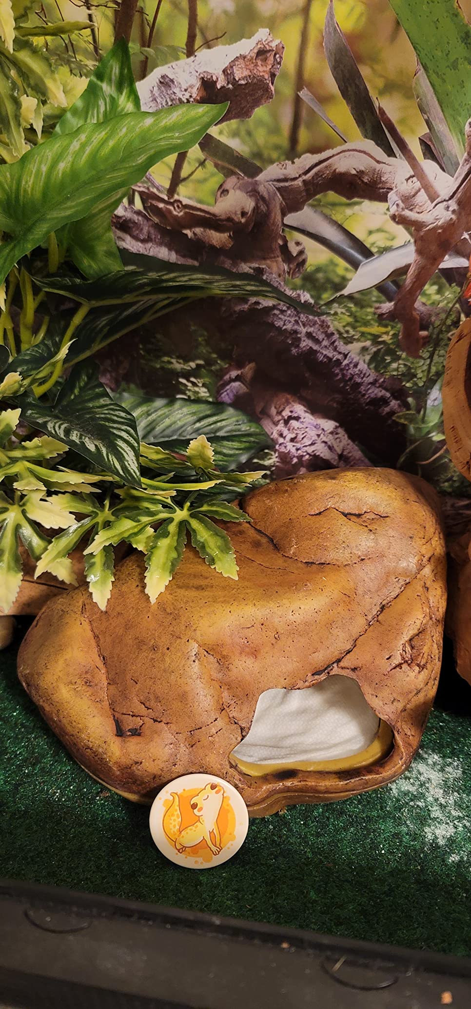 Exo Terra Gecko Cave for Reptiles and Amphibians, Reptile Hideout, Medium, PT2865 customer photo 1
