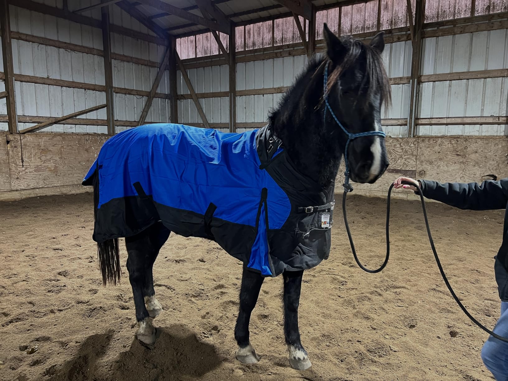 Tough 1 1200D Snuggit Turnout 300g 78In Royal Blue customer photo 1