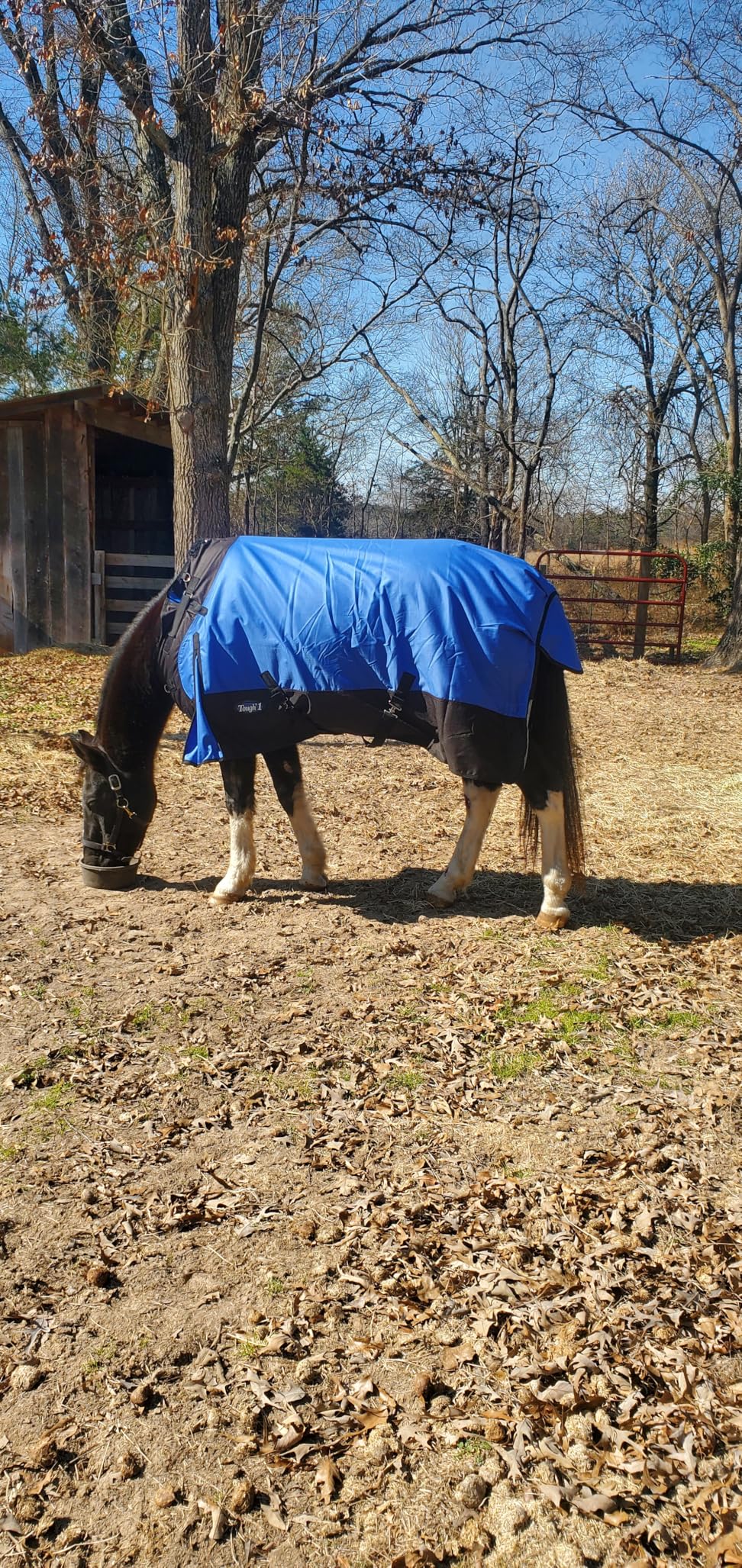 Tough 1 1200D Snuggit Turnout 200g customer photo 1