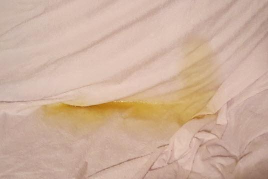 LUCID Premium Hypoallergenic 100% Waterproof Mattress Protector - Universal Fit, Cotton Terry Top, Full customer photo 1
