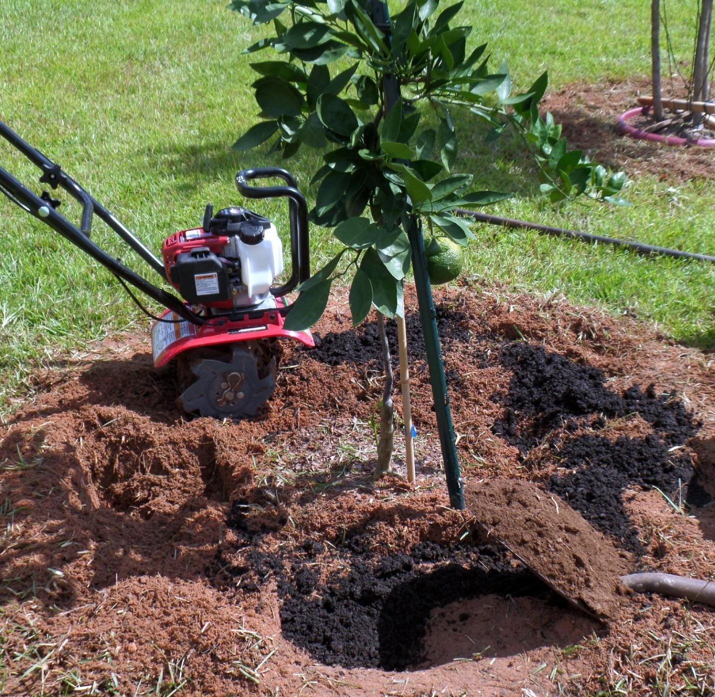 Honda FG110 Mini Tiller Cultivator, 6- to 9-Inch Tilling Width, Gas Engine, Adjustable Depth Bar (FG110KiAT) customer photo 1