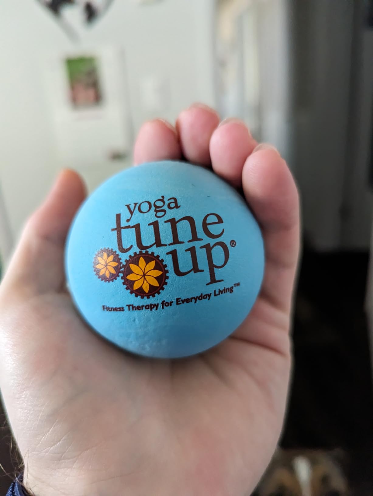 YOGA TUNE UP® Therapy Balls in Tote by Tune Up Fitness - Massage Balls for Trigger Point, Pressure Point & Myofascial Release - Use as Single or Peanut Ball for Pain Relief & Relaxation (Deep Purple) customer photo 2