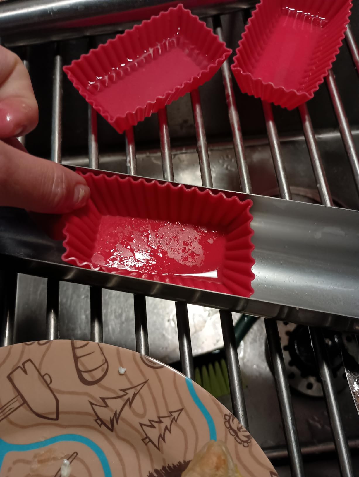 GOSUN Sport Solar Oven customer photo 2