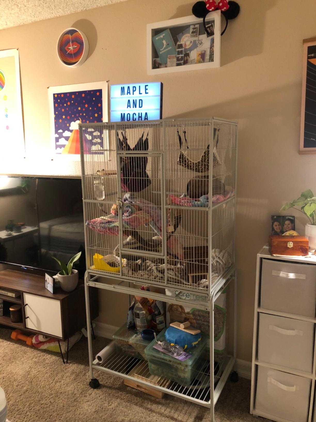 Extra Large Wrought Iron Chew-Proof 4-Levels Narrow Bar Spacing Ferret Chinchilla Squirrel Sugar Glider Rats Mices Rabbit Squirrel Hamster Cage Easy Clean Pull Out Tray with Removable Rolling Stand customer photo 1