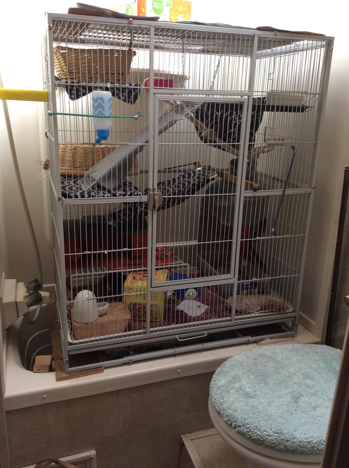 Extra Large Wrought Iron Chew-Proof 4-Levels Narrow Bar Spacing Ferret Chinchilla Squirrel Sugar Glider Rats Mices Rabbit Squirrel Hamster Cage Easy Clean Pull Out Tray with Removable Rolling Stand customer photo 2