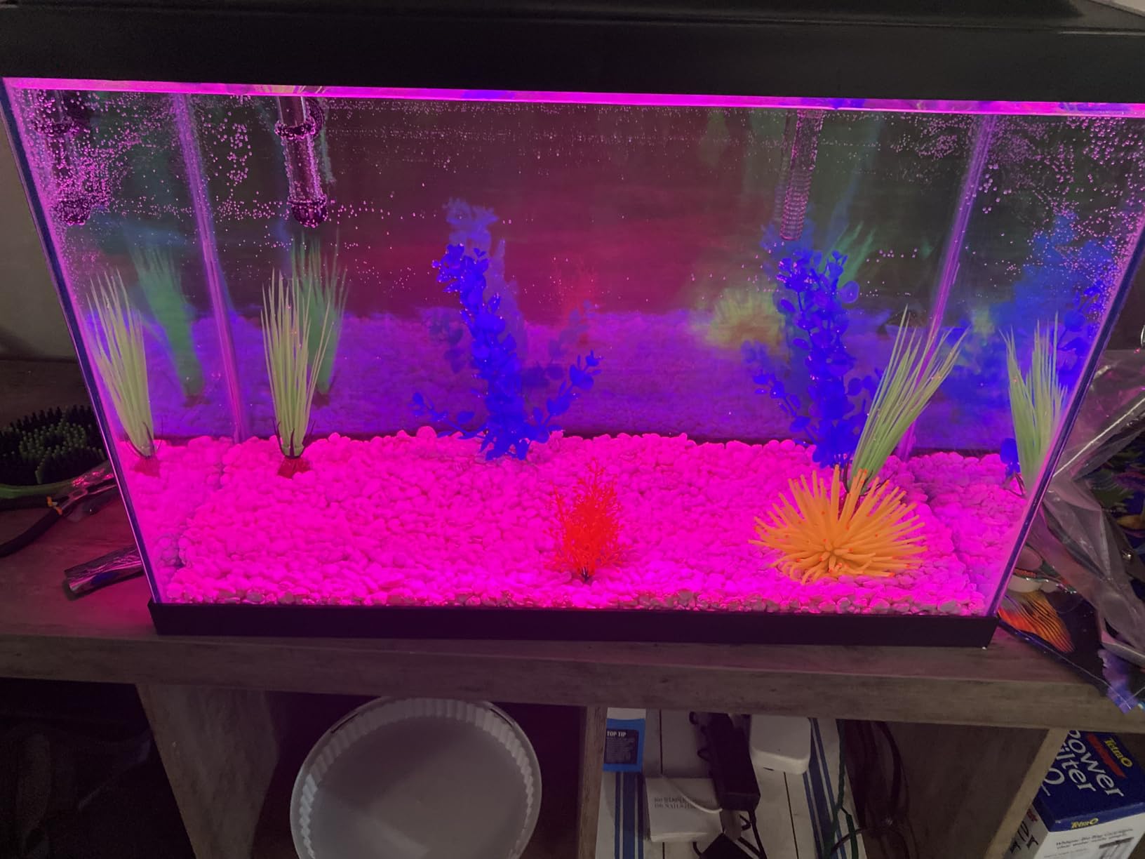 Tetra Aquarium 20 Gallon Complete Tropical Fish Tank Kit With LED Lighting And Decor customer photo 1