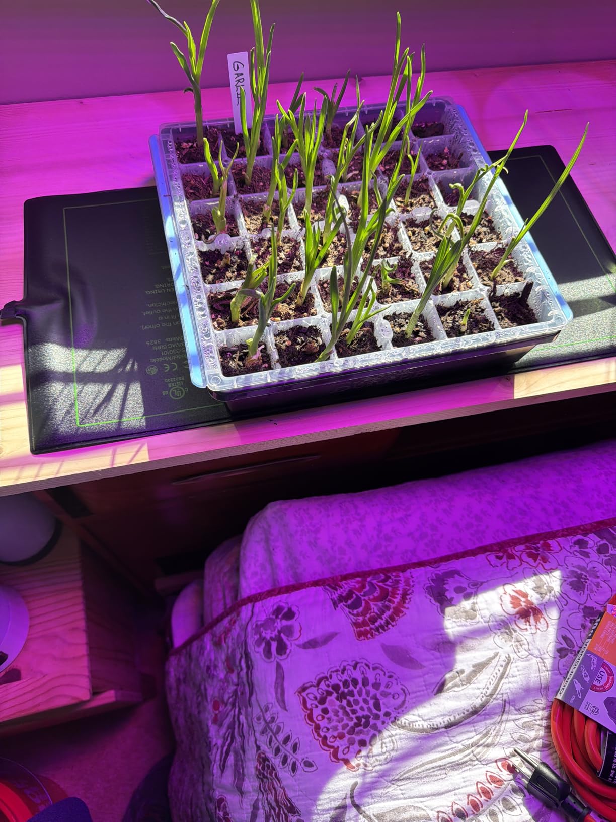 VIVOSUN 2 Pack Durable Waterproof Seedling Heat Mat 10