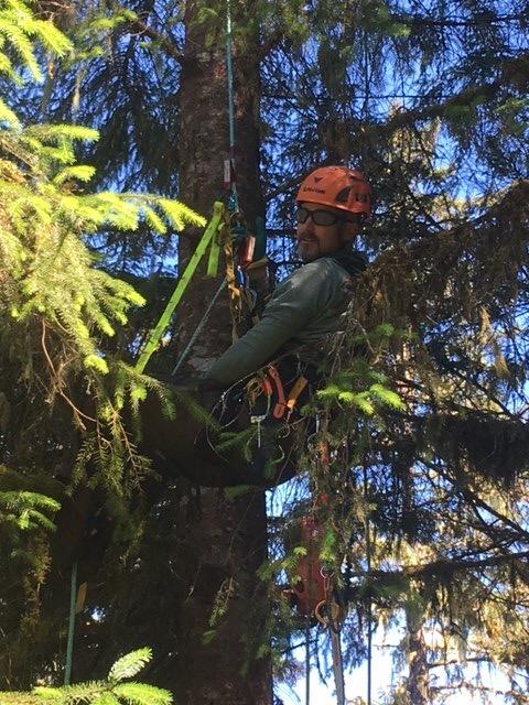 Fusion Meka Work Climbing Helmet customer photo 1