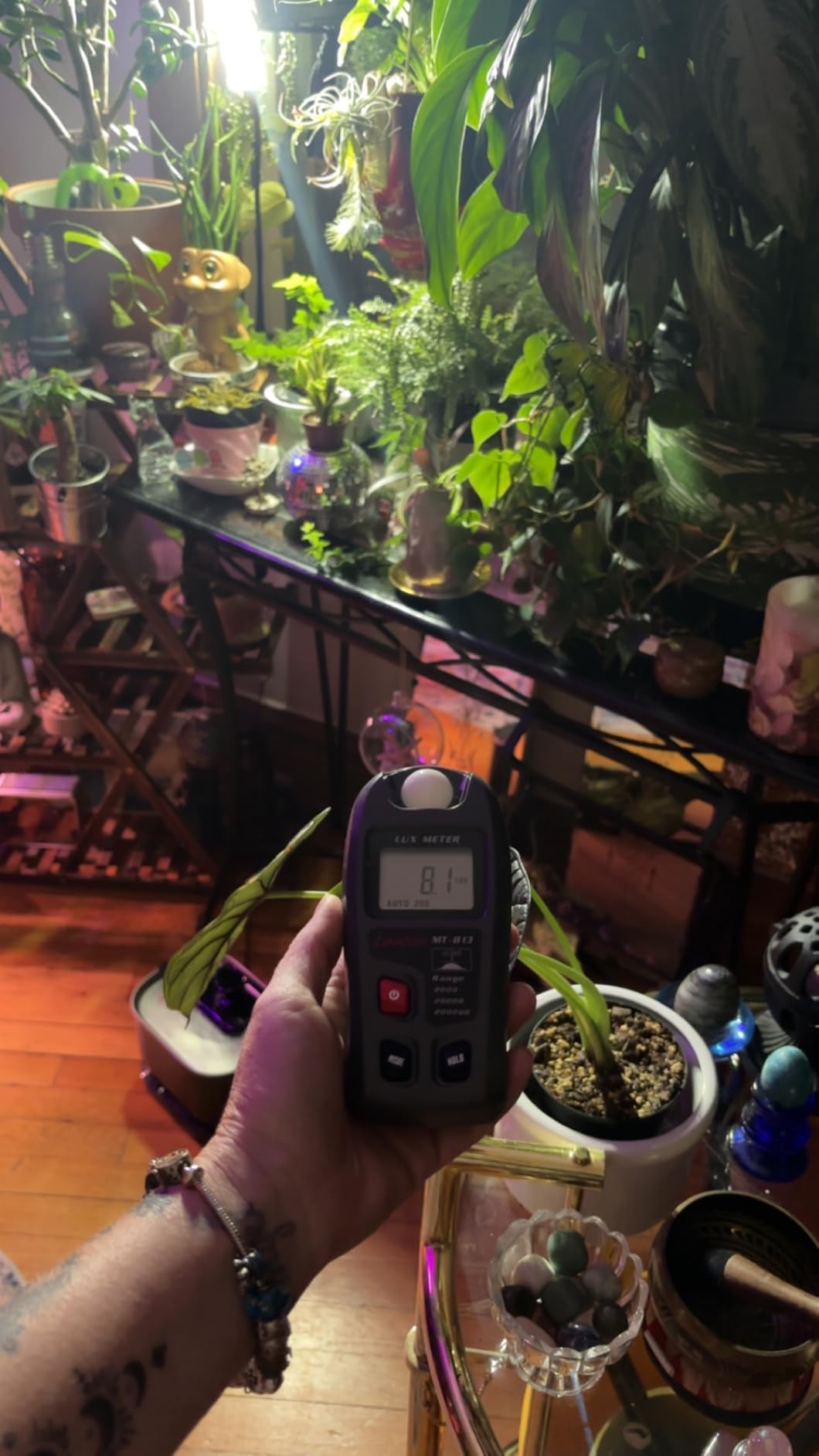 Light Meter, Digital Luxmeter, Digital Illuminance Meter, Range up to 200,000 Lux, Luxmeter with LCD Display for Plants, Car Headlights, Home & Office LEDs Light Photograph customer photo 1