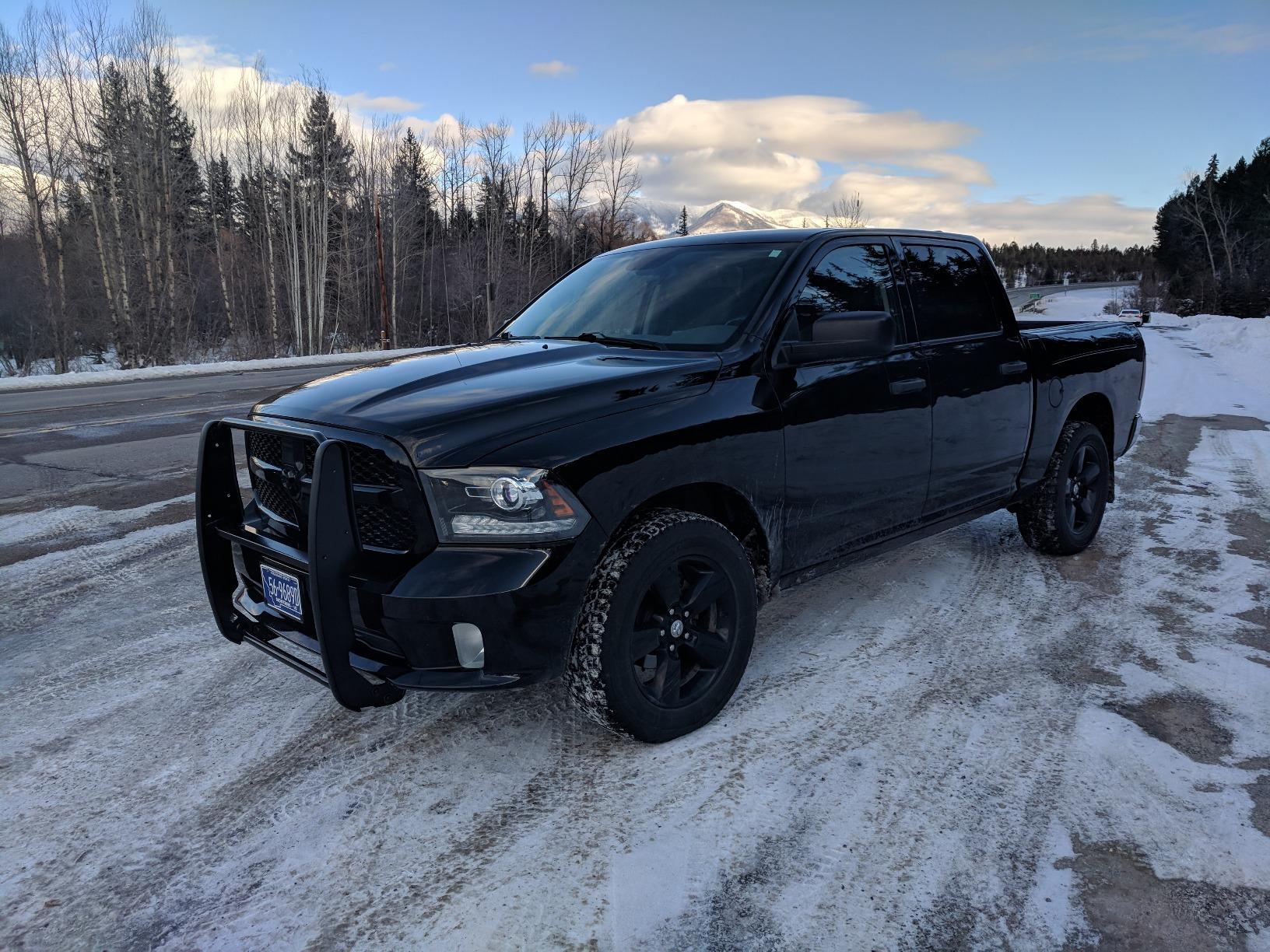 Black Horse Grille brush Bumper Guard Modular Black Compatible with 09-10 Dodge Ram 1500|11-18 Ram 1500|19-24 Ram 1500 Classic(Excl.Rebel & Warlock Trims)-17DG109MA customer photo 2