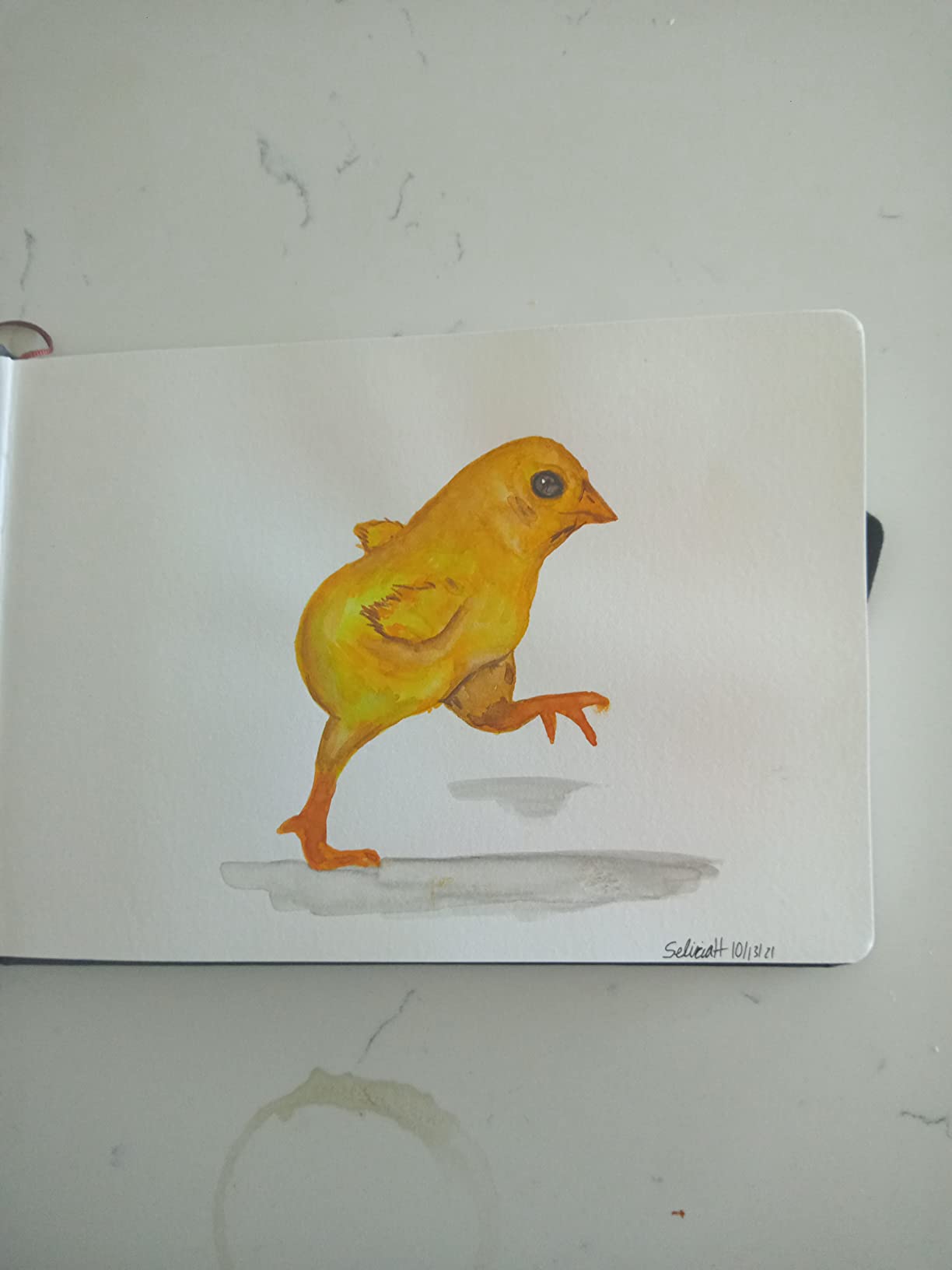 Hahnemuhle Watercolour Book 200g/m², A5, Landscape, 30 Sheets - Quality German watercolor sketchbook customer photo 1