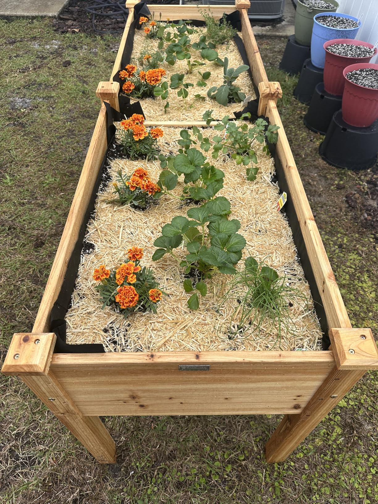 Best Choice Products 48 x 24 x 30 Inches Raised Garden Bed, Elevated Wood Planter Box Stand for Backyard, Patio, Balcony with Bed Liner, 200 Pound Capacity - Natural customer photo 2