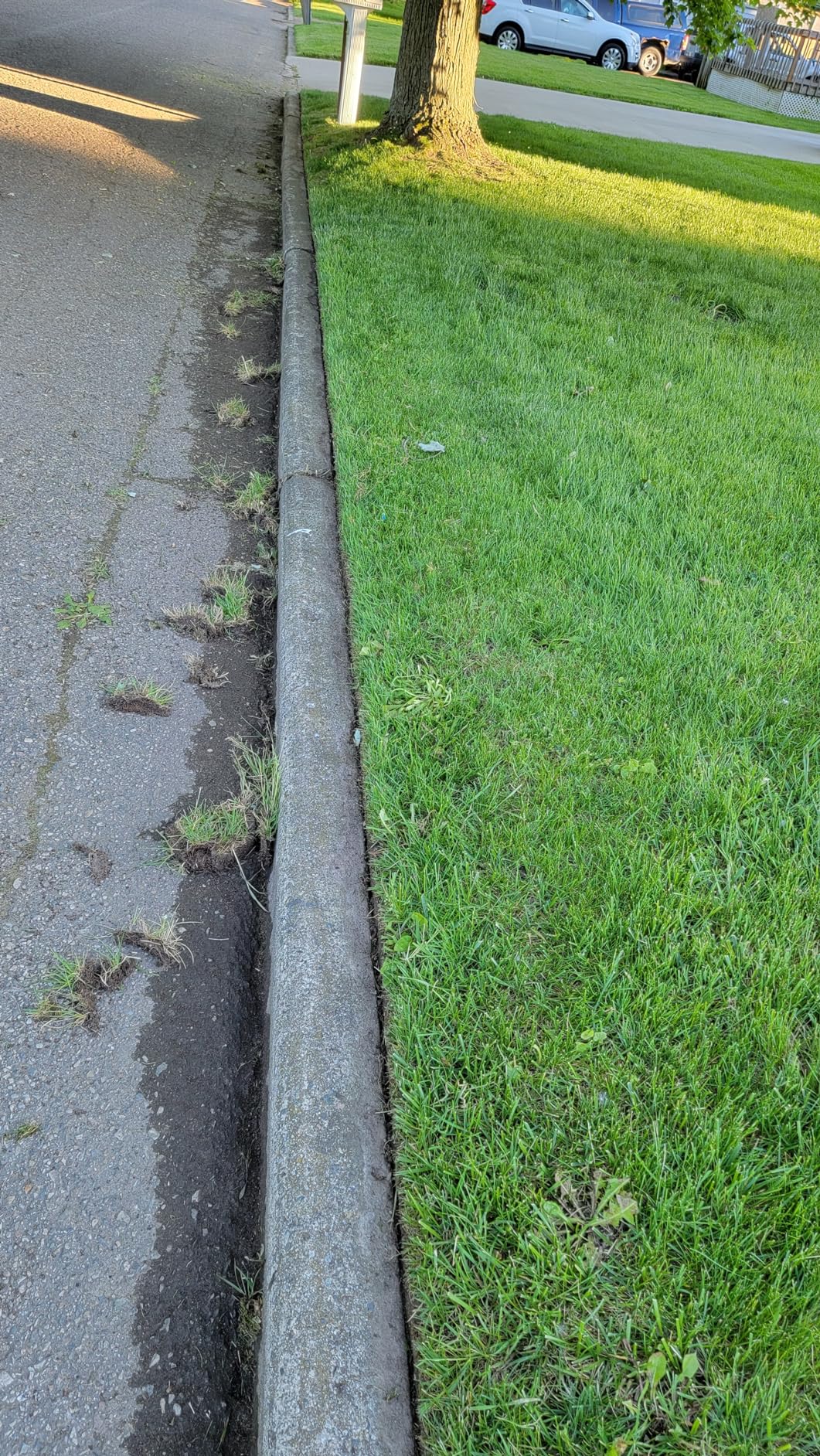 Greenworks 40V 12