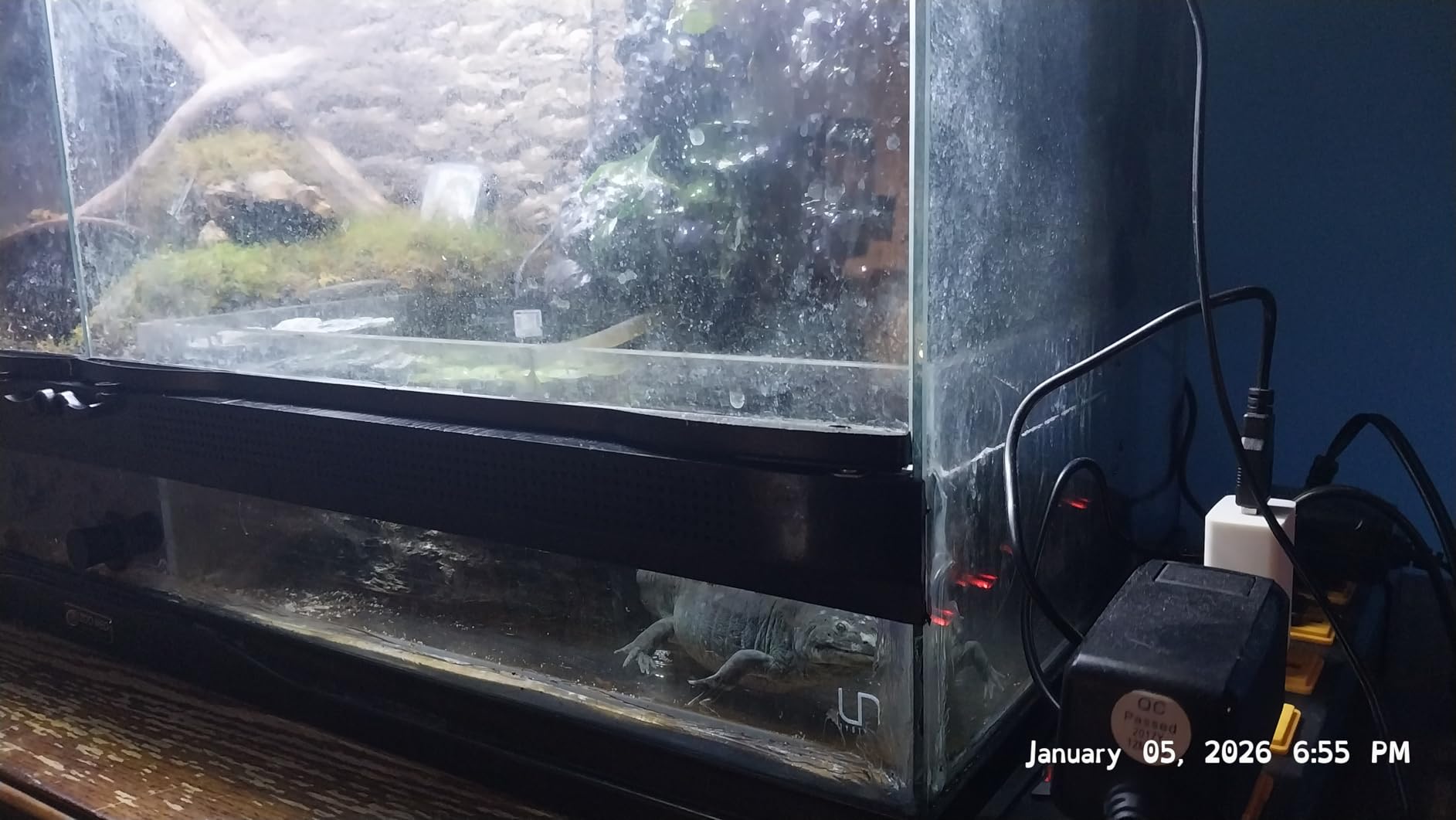 Ultum Nature Systems Ultra Clear Rimless Nano Aquarium - Low Iron Glass Fish Tank with 45° Mitered Edges, 5mm-12mm Thick, Leveling Mat Included (5N, 5 Gallon) customer photo 2