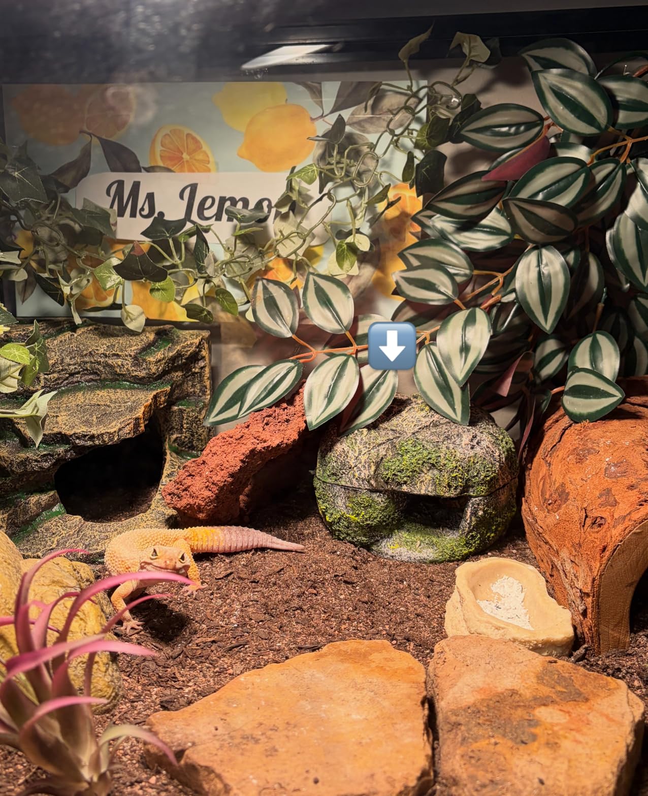 Zilla Pet Terrarium Rock Lair, Reptile Hide for Lizards, Geckos and More, Small customer photo 2
