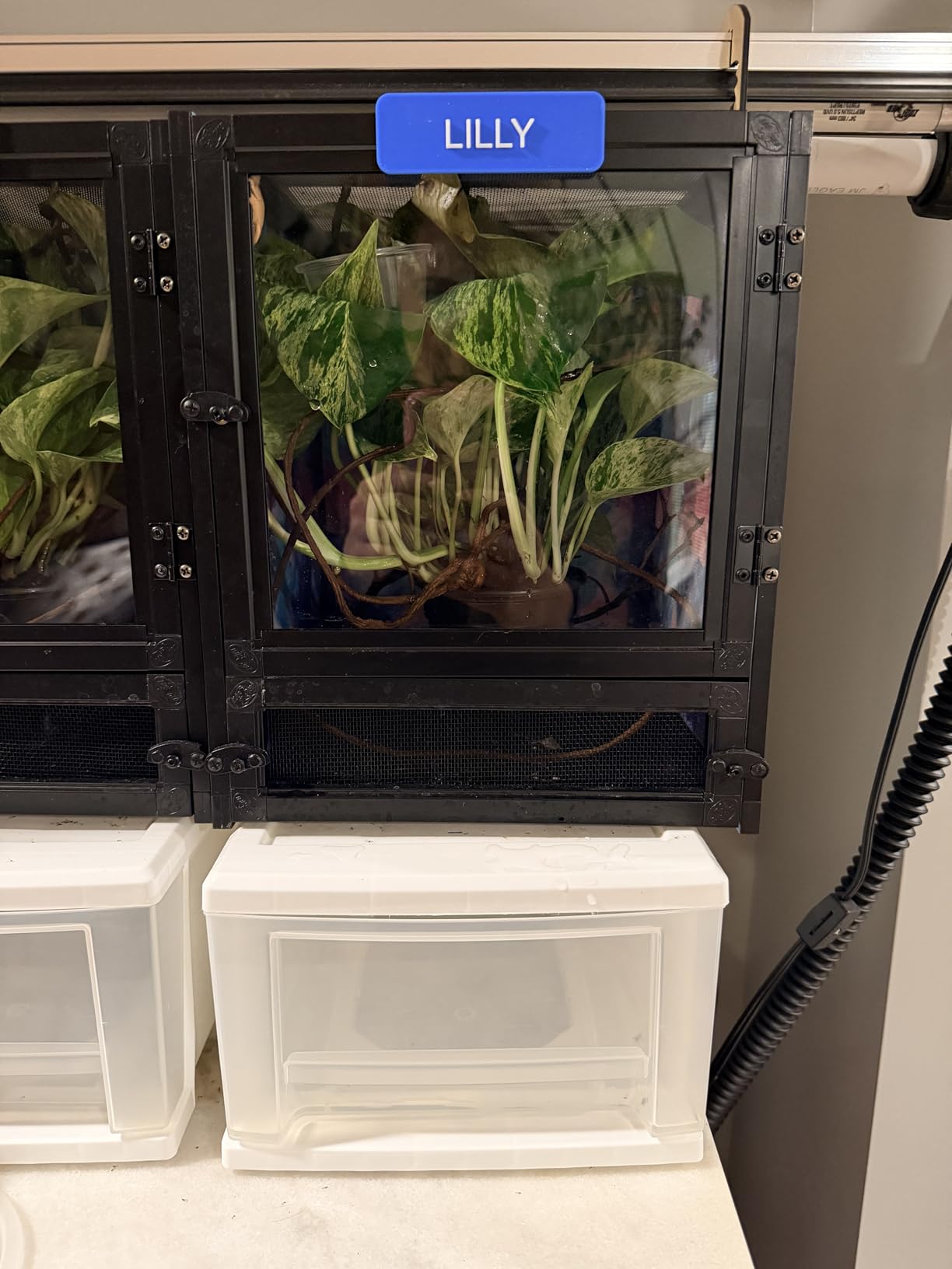 Zoo Med Labs Nano Breeze Alumuninum Screen Cage 10 x 10 x 12 customer photo 1