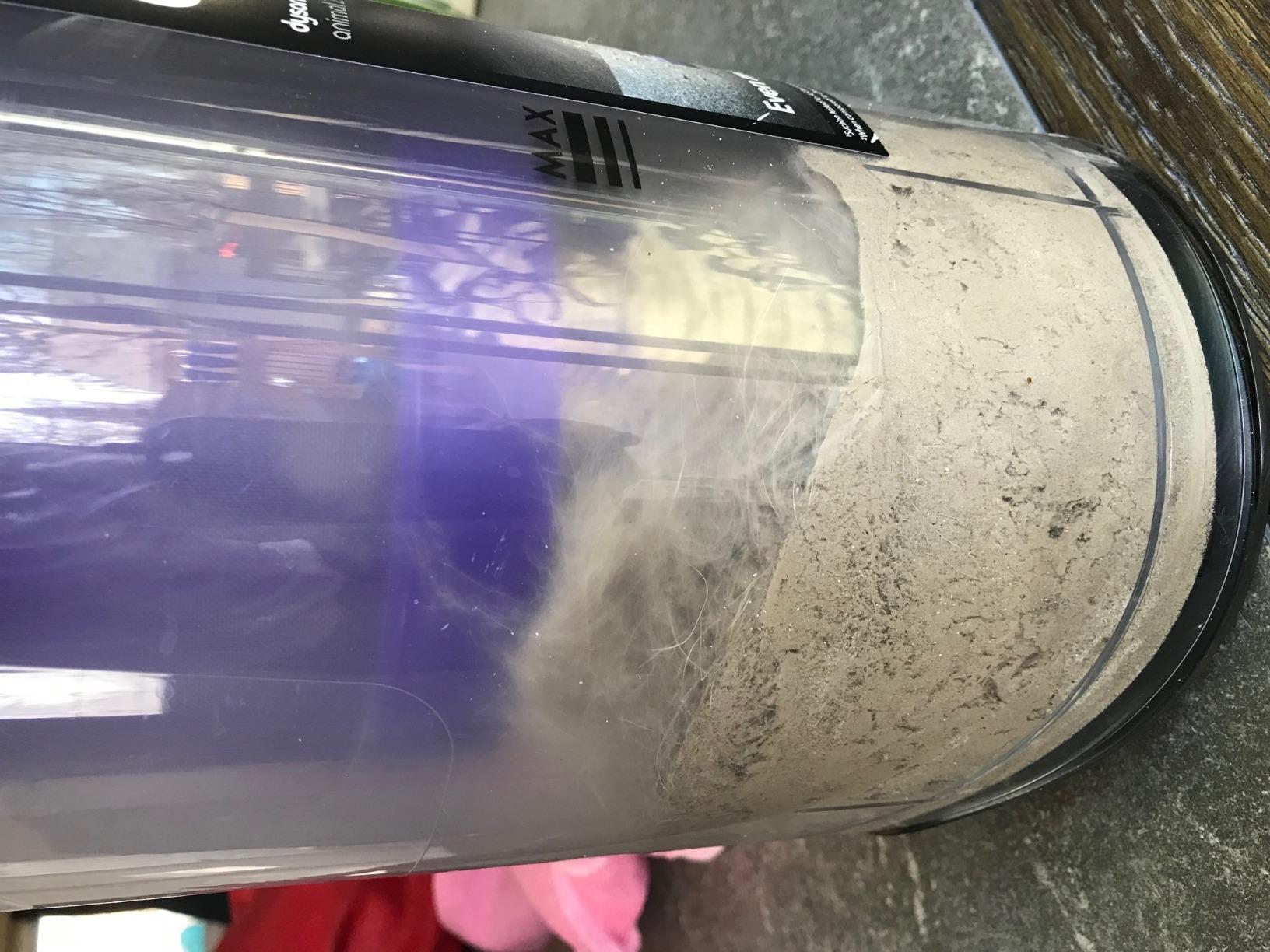 Dyson Upright Vacuum Cleaner, Ball Animal 2, Iron/Purple customer photo 2