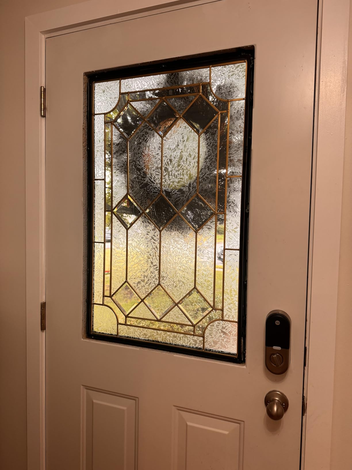 ODL Exterior Door Glass Replacement - Entry Door 24
