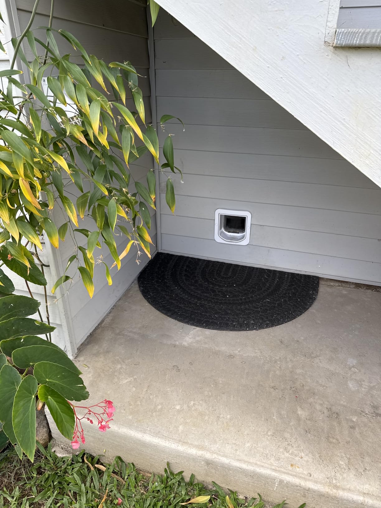 SureFlap Microchip Pet Door Connect Without Hub - Flap Opening is 6 3/4 inches by 7 inches customer photo 1