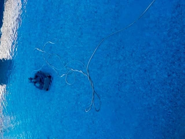Polaris 8050 Sport Robotic Pool Cleaner, Automatic Vacuum for InGround Pools up to 40ft, Wall Climbing Vac w/Strong Suction & Easy Access Transparent Lid customer photo 2