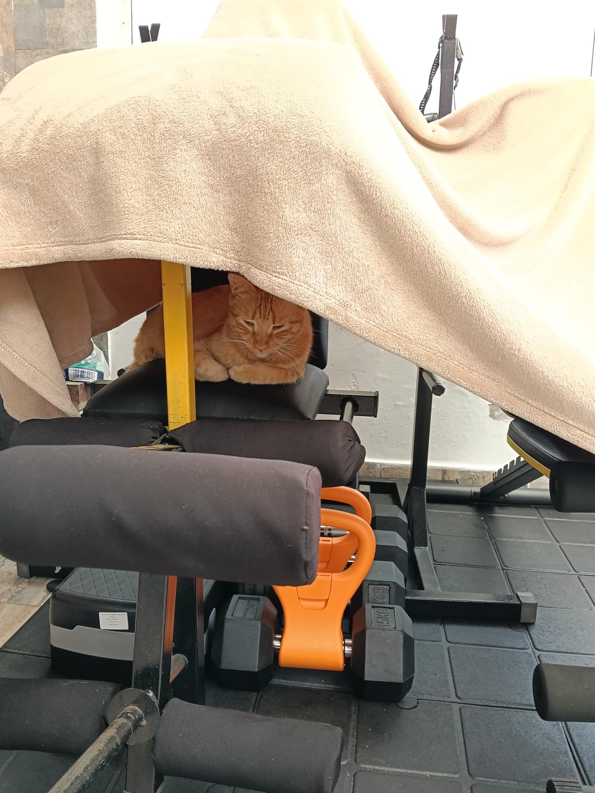 KETTLE GRYP - The Original - As Seen on SHARK TANK! Converts Your Dumbbells Into Kettlebells - Made in the USA - Dumbbell Grip Handle customer photo 1